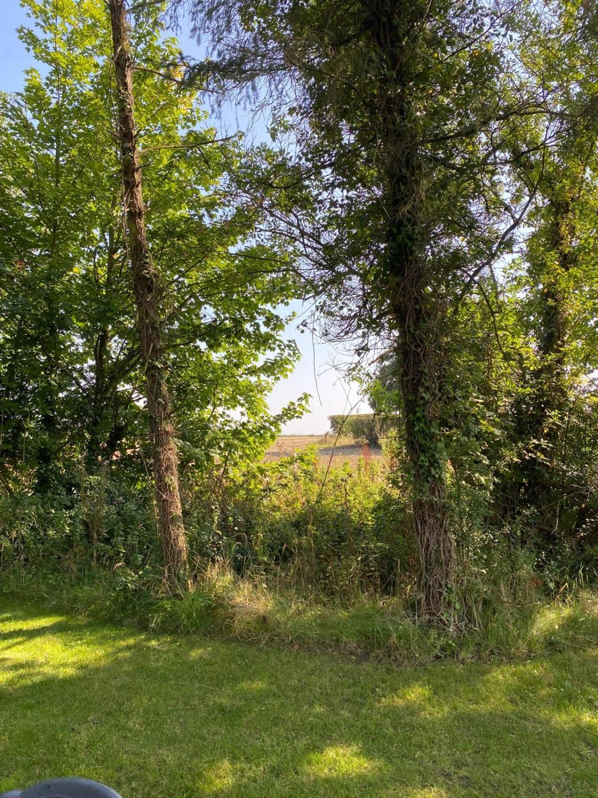 Kildare Countryside Pods Villa Kültér fotó